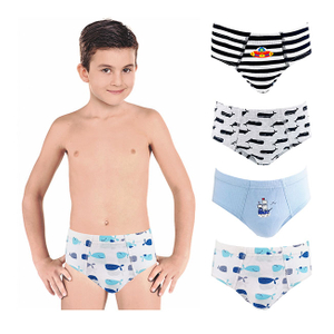 Customize Logo Multi Color Pure Cotton Plain Boys Briefs Underwear