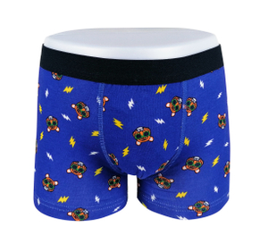 all over print OEM ODM customize logo boys boxer underwear