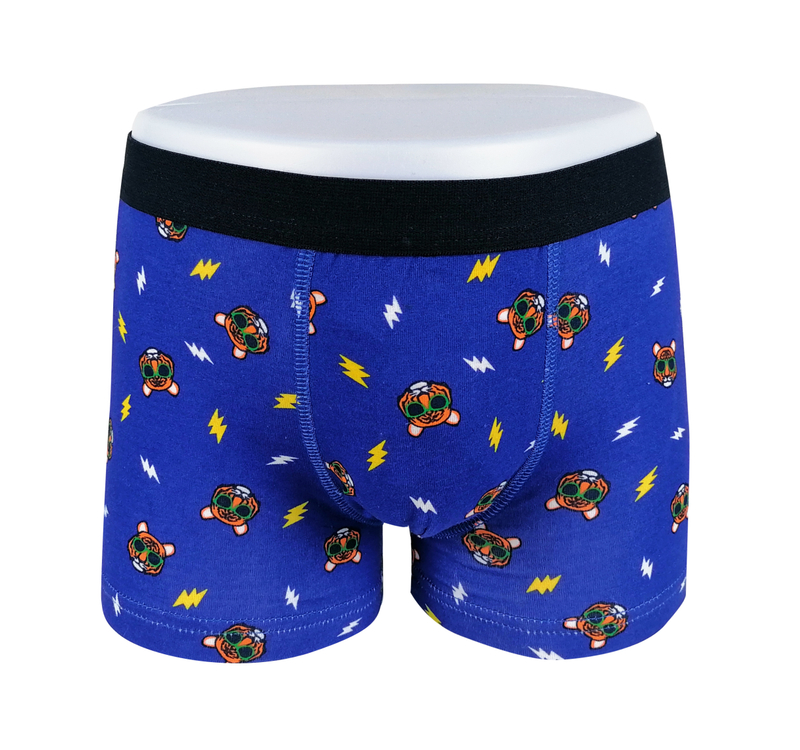 all over print OEM ODM customize logo boys boxer underwear