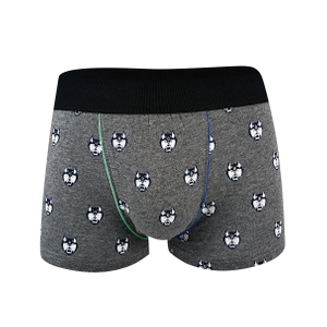 OEM ODM AOP Men's Cotton Stretch Boxer Brief Underwear