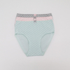 Customize Women Flower Printing High Rise Women Briefs Lingerie