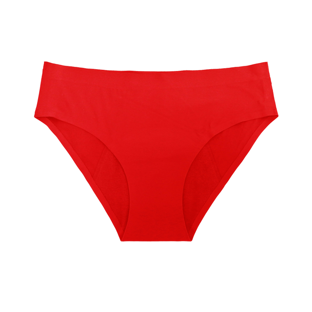 Stretch Nylon Spandex Heavy Flow High Absorbency Leakproof Panties Briefs Period Underwear