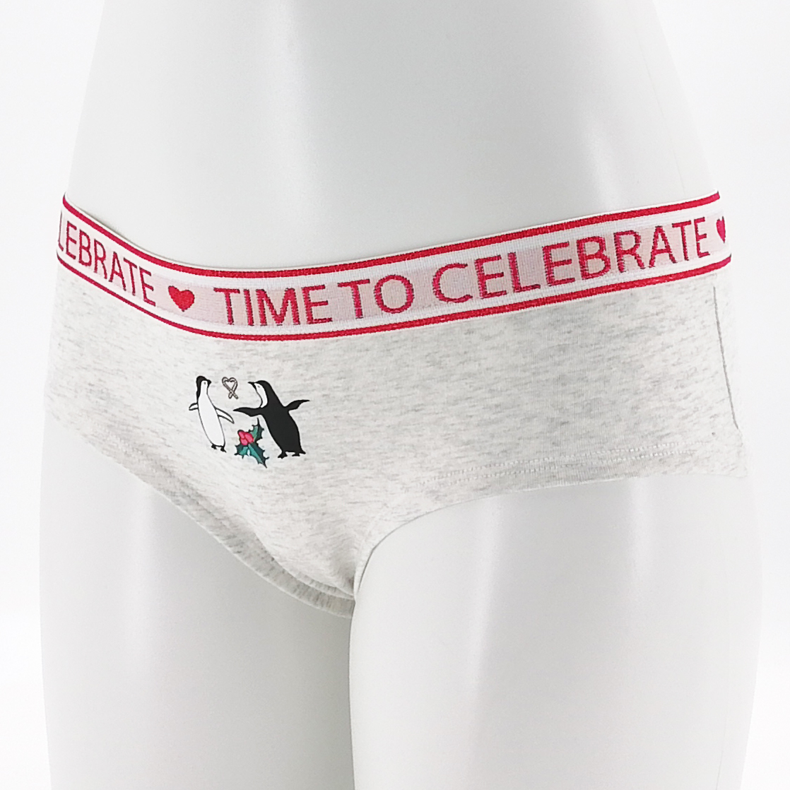 Women Cheeky Underwear Cotton Spandex Shinnysilver Waistband