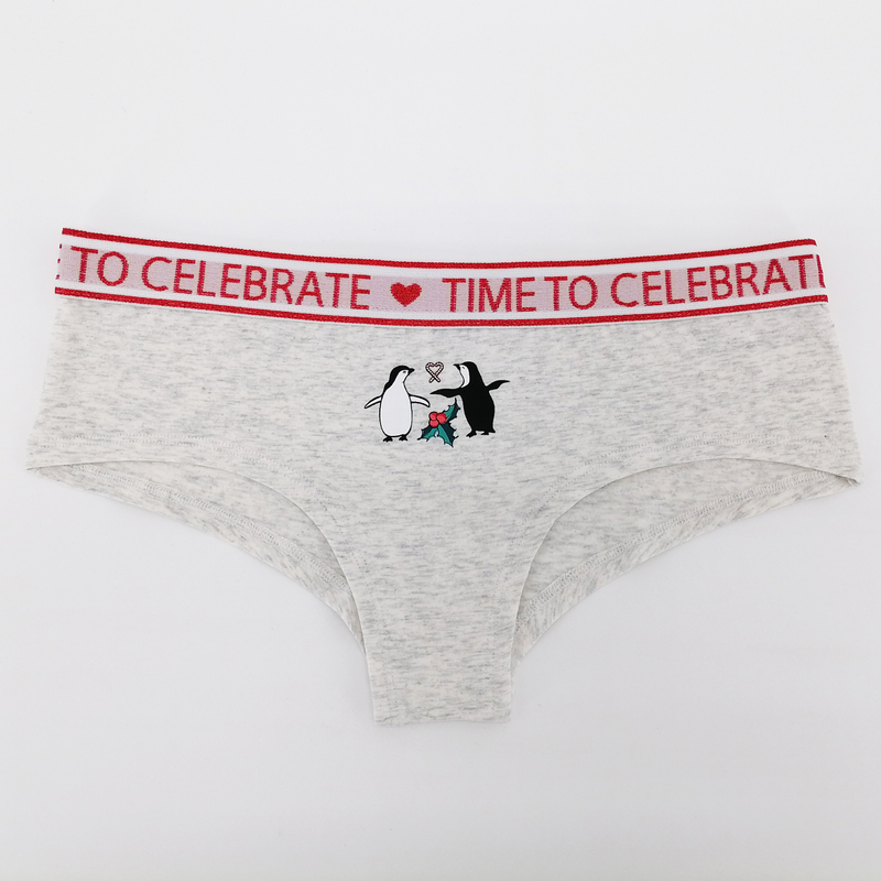 Women Cheeky Underwear Cotton Spandex Shinnysilver Waistband