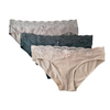 Nylon Elastane Silk Fitting Women Panties Briefs