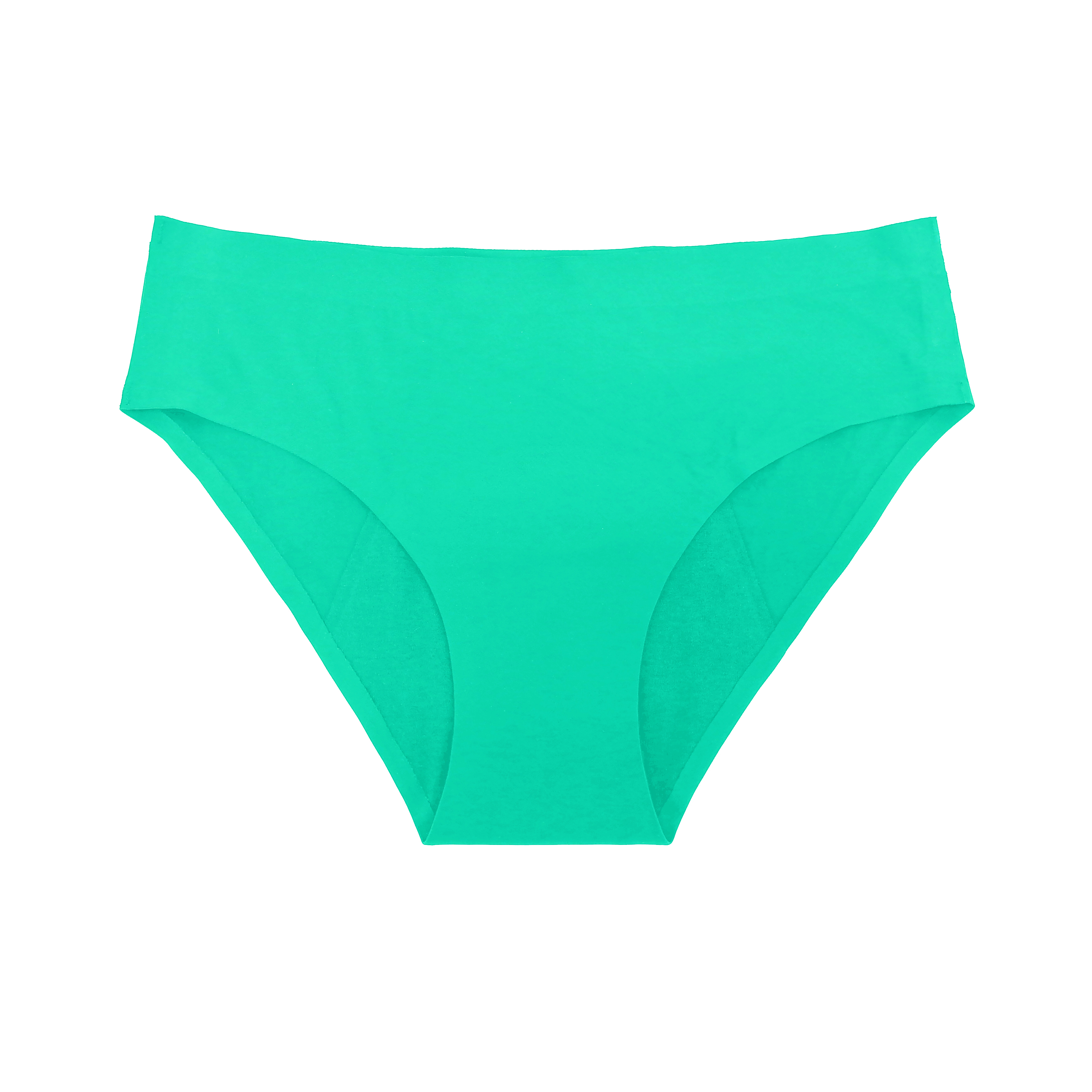 Stretch Nylon Spandex Heavy Flow High Absorbency Leakproof Panties Briefs Period Underwear