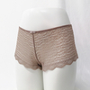 Lace Transparent Nylon Elastane Sexy Ladies Boyshorts Underwear Lingerie